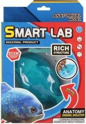 Wissenschaftliches Anatomie-Set – Fisch