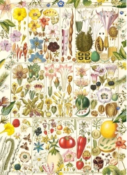 Puzzle Botanische Glückseligkeit 1000 Teile