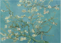 Puzzle Mandelblüte XL 700 Teile ANATOLIAN