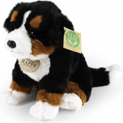 Sitzender Plüsch Berner Sennenhund 23 cm