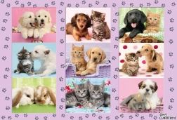 Schmidt Puzzle Moji tierische Freunde 100 Teile