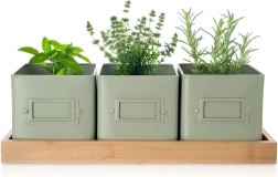 GREENISH Kräutertopf-Set mit Ständer, 3 Stk.