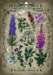 Puzzle Giftige Pflanzen 1000 Teile