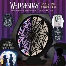 LED Lichtfenster Mittwoch