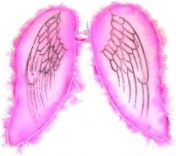 Rosa Flügel für Engel und Fee