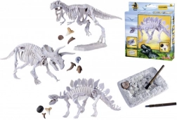 Set zum Ausgraben und Zusammenbauen von Dinosaurier-Skeletten