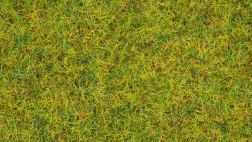 Statische Wiese Sommerwiese 2,5 mm