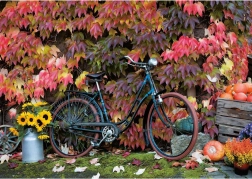 Puzzle Magie des Herbstes 1000 Teile PIATNIK