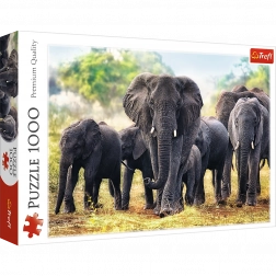 Puzzle 1000 Teile – Afrikanische Elefanten TREFL