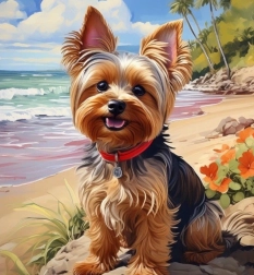 Diamantmalerei Yorkshire am Strand 30 × 40 cm