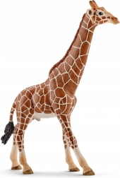 Schleich Wild Life Giraffenmännchen Figur