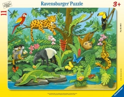 Puzzle 11 Teile: Tiere des Regenwaldes