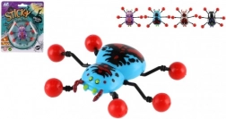 Spinne kriecht an Glas