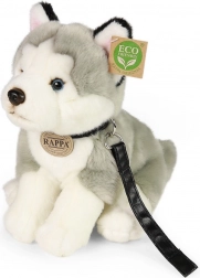Plüschhund Husky mit Leine 28 cm von Rappa
