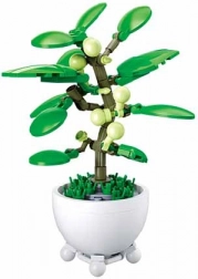 Sluban tropische Pflanze im Blumentopf