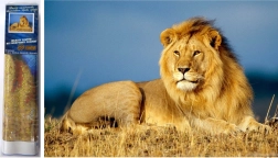 Diamantmalerei Löwen-Majestät 30x40 cm