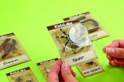 Eduktions-Set Ausgrabungen – Käfer