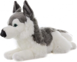 Plüsch-Husky 43 cm