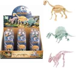 Dinosaurierskelett in transparenter Röhre