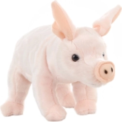 Plüsch-Schwein eco-friendly 23 cm