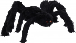Große schwarze Spinne zu Halloween