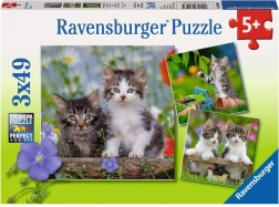 Ravensburger Puzzle Kätzchen 3×49 Teile