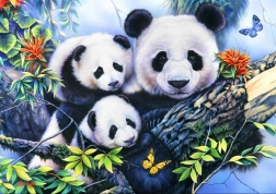 Puzzle Panda-Familie 1000 Teile