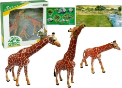 Bildungsfiguren Giraffen Familie 3 Stk + Hintergrund Afrika