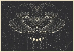 Puzzle Galaxy: Mondschmetterling 500 Teile