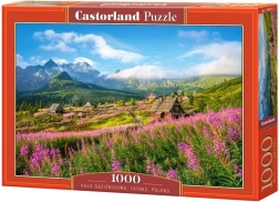 Puzzle 1000 Teile Hala Gąsienicowa, Tatra, Polen