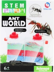 Kreativset – Welt der Ameisen