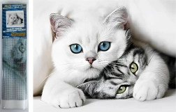 Diamantmalerei Katzengeheimnis 30 × 40 cm Norimpex