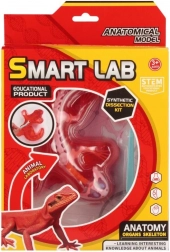 Wissenschaftliches Anatomie-Set – Eidechse