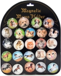 Set aus 24 Magneten mit Hunden, Katzen und Pferden