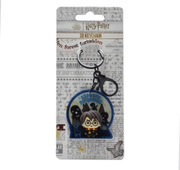 3D Schlüsselanhänger Harry Potter