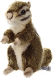 Bremsbeläge für die Vorderachse