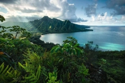 Ravensburger Puzzle Hawaiischer Ausblick 5000 Teile