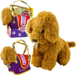 Plüsch-Pudel in Tasche mit Klettverschluss – hellbraunes Kuscheltier