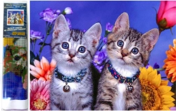 Diamantmalerei Zwei Kätzchen 30x40 cm
