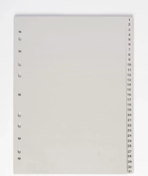 Dokumenten-Trennblatt A4 1-31