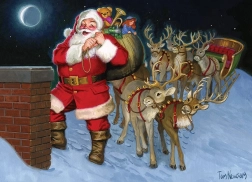 Puzzle Auf dem Dach 500 Teile