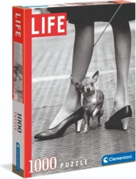 Puzzle Chihuahua von Clementoni 1000 Teile