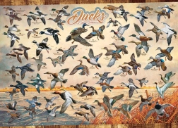 Puzzle COBBLE HILL Enten Nordamerikas 1000 Teile