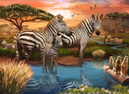 Puzzle Zebras 500 Teile