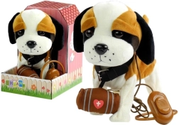 Interaktiver Bernhardiner an der Leine mit Hütte