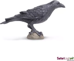 Aaskrähe – Feldfigur Safari Ltd.
