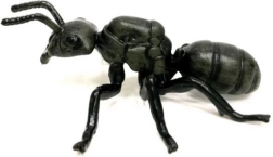 Figur des glänzendschwarzen Ameisen