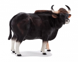Mojo-Figur Gaur – Stier XXL