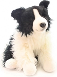Plüsch Border Collie 35 cm