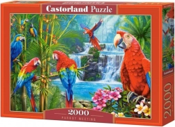 Puzzle 2000 Teile Parrot Meeting